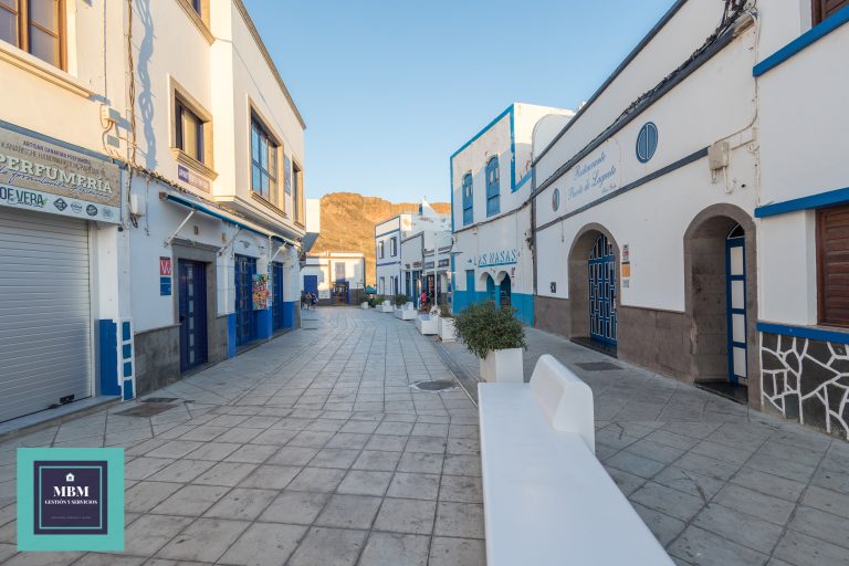 Estudio vacacional en Agaete - Strelitzia Estudio